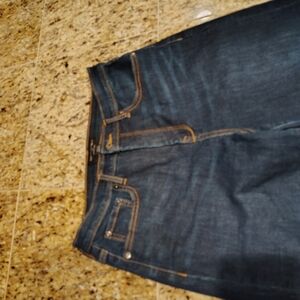 Banana Republic Indigo High-Rise Skinny Jeans